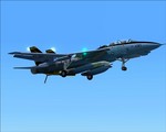 F14 landing 1.jpg