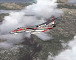 F14B_Tomcat.jpg