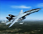 F14b.jpg
