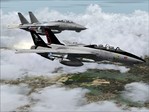 Grim Reapers VF-101.jpg