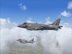 Harrier patrol.JPG