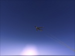 Lufthansa~3.jpg