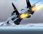 New F14 4.JPG