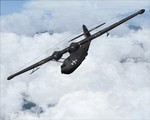 PBY5_Black_cat.jpg