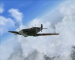 Spitfire_large.jpg