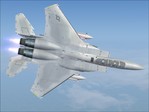 Strike Eagle F-15E.jpg