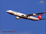 Turkish Airlines1 copy.jpg