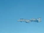 escort A-10.jpg